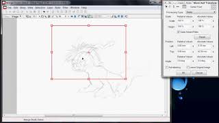 Gomamon Speed Draw Sketch