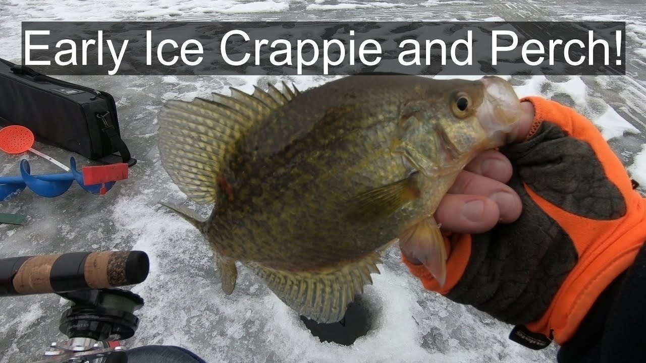 First Ice Crappie and Perch Action [Wisconsin Ice Fishing] - YouTube