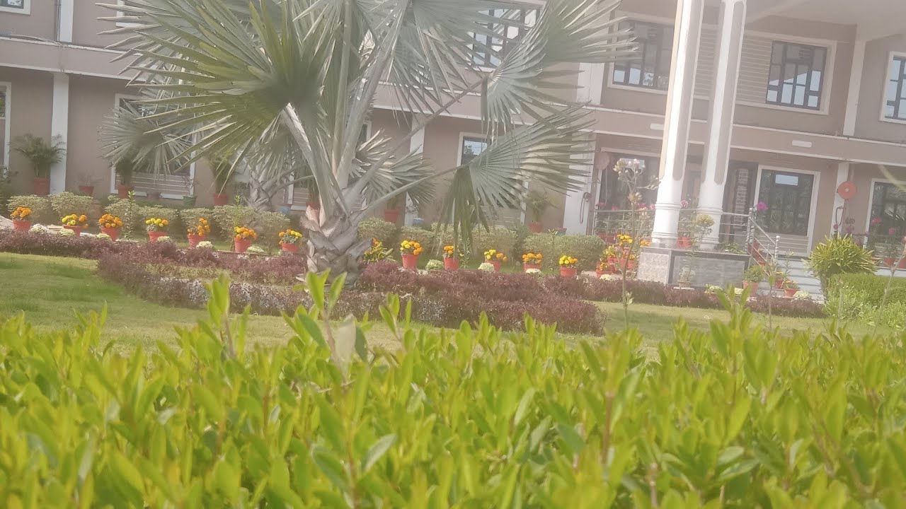 Please subscribe kijiye 🙏🏻