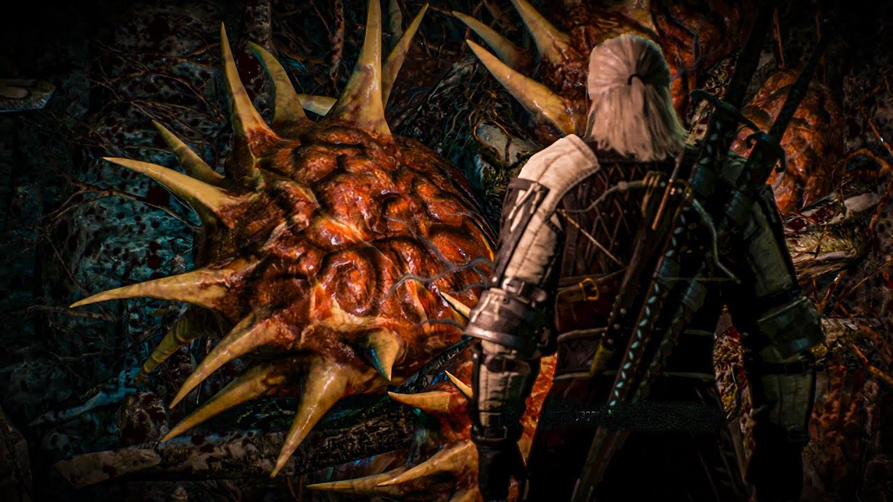 The Witcher 3: Wild Hunt Gameplay Part 16