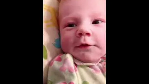 3904236362802 16800
