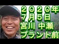 鮎釣り 宮川 釣果 小澤剛 友釣り無双