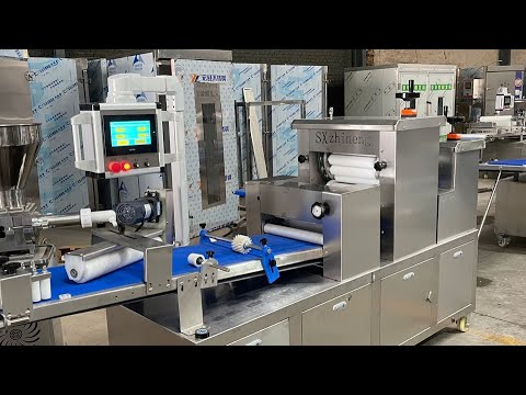 Автоматична лінія для формування булочок, пиріжків, плетінок та виробів з начинкою Horfood-250, видео 2