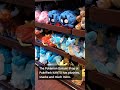 PokéPark KANTO Teems with All Kinds of Pokémon Merch