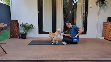 Ian Wu W27 Unit 2 Lesson 7.3 Target with second species