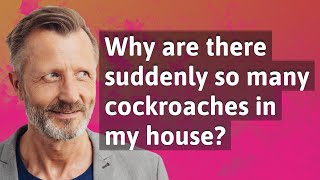 Why are there suddenly so many cockroaches in my house?