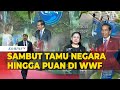 [FULL] Jokowi Sambut Tamu Negara Hingga Puan Maharani di Opening Ceremony WWF ke-10 Bali