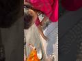 Sikhe gachi bori dewa💕Mandy’s Life💕 #youtubeshorts #viral #bori #maa #winter #homemade #explore
