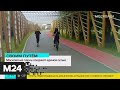 Московские парки соединят единой сетью велодорожек - Москва 24