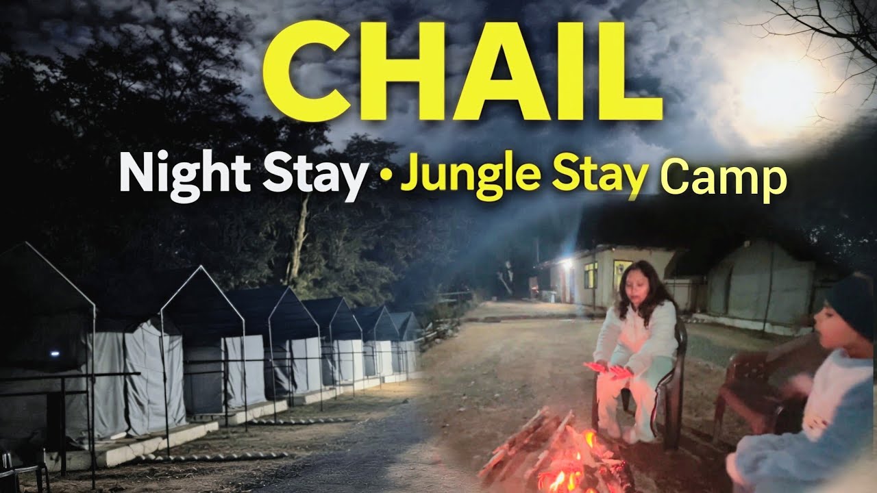 One Night stay & Morning Vibes in Chail:  (Ep 1) Nature Experience in Moonlight with family 