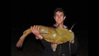 GoPro Fishing 13lb,17lb, and 26lb Flathead Catfish