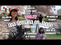 JAPÓN NO ES TECNOLÓGICO?! 😭 + Soy feliz en 🇯🇵? + Flor de Cerezo en Yamato 🌸 | Vlog22 Onigiri Vlogs