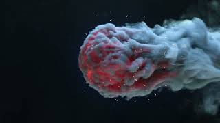 Project Suka Suki Part 7