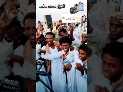 تحدي صمود فداء