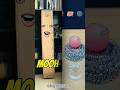 dhoni cricket bat 🏏 #funny #youtubeshorts #unboxing #skgsmsms