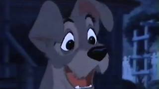 Lady and the Tramp (1955) - Tramp Apologizes to Lady