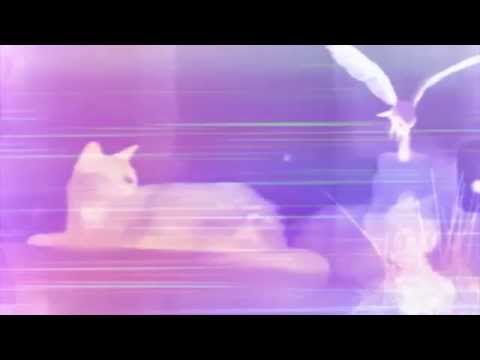 Watch Mark Van Hoen - Bring It Back on YouTube Watch Mark Van Hoen - Bring It Back on YouTube