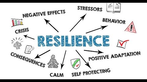 Resilient Business Services | Smart Solutions for Your Succes