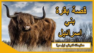 هل تعلم | قصة بقرة بني اسرائيل | من اعجب قصص القران | شرح جديد - اسلاميات