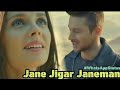 Aashiqui Jane Jigar Jane Man Mujko Hai Status Song