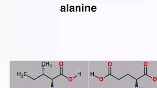 20 Common Amino Acids - Structures-Quiz screenshot 3