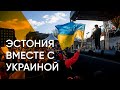 Запрет российских студентов и крупнейший митинг в истории. Как война в Украине отразилась на Эстонии