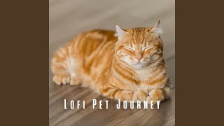 Chill Pet's Dreamy Rhythms