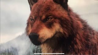 U we're Closer Twilight Wolves sad
