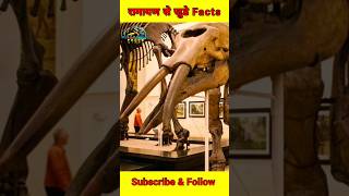 रामायण से जुड़े facts shorts shortvideo shortsfeed shortsvideo short