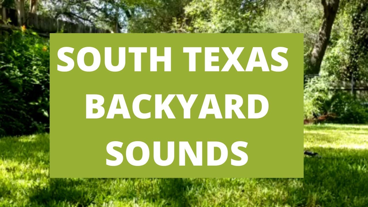 Relaxing Summer Morning in South Texas  -- Ambient Backyard Sounds