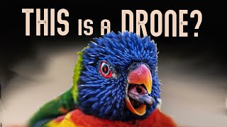 Gogo Bird Prototype Remote Id Test?