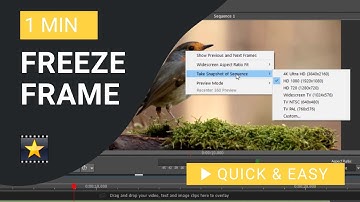 VideoPad Tutorial: How to Freeze Frame in VideoPad
