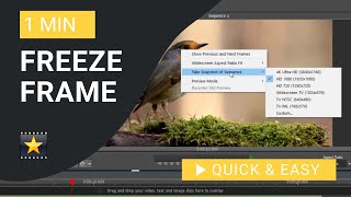 VideoPad Tutorial: How to Freeze Frame in VideoPad