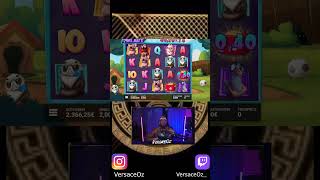 Hunde retten ? casino deutschland twitch deutsch stream shorts