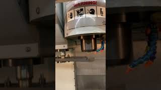 IMG 0559