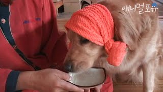 찜질방에 갔는데... 손님 얼굴이 리트리버상이네요🐶 ㅋㅋㅋㅣKBS 주주클럽 071118 방송