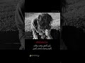ش و آل س ت ف د ن آ اغاني تصميم فيديوهات ش و آل س ت ف د ن آ اغاني تصميم فيديوهات