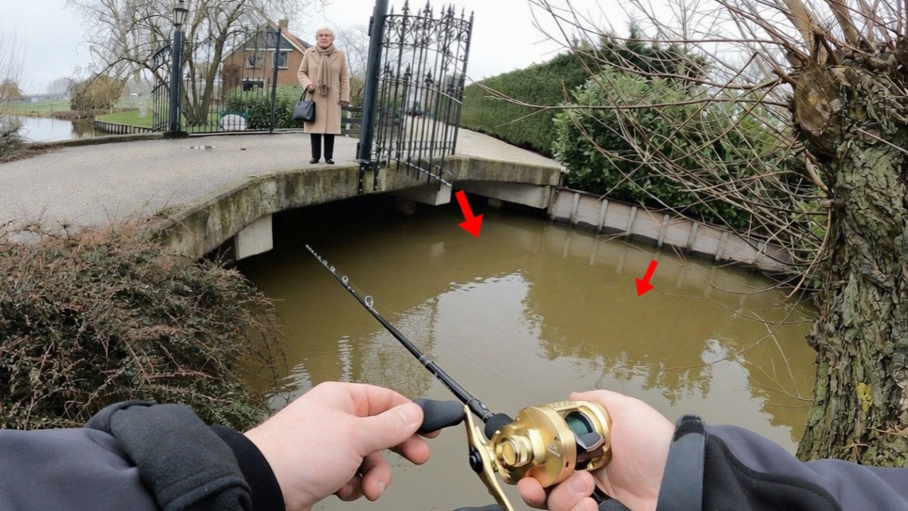 An ihrer Einfahrt stehen zornige Hechte. Neuer Polder liefert sofort.