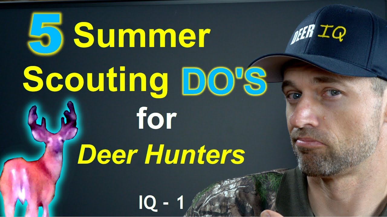 5 Summer Scouting Tips for Deer Hunters - Do these the RIGHT WAY! IQ ...