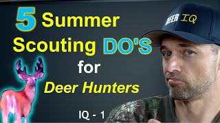 5 Summer Scouting Tips for Deer Hunters - Do these the RIGHT WAY! IQ - 1