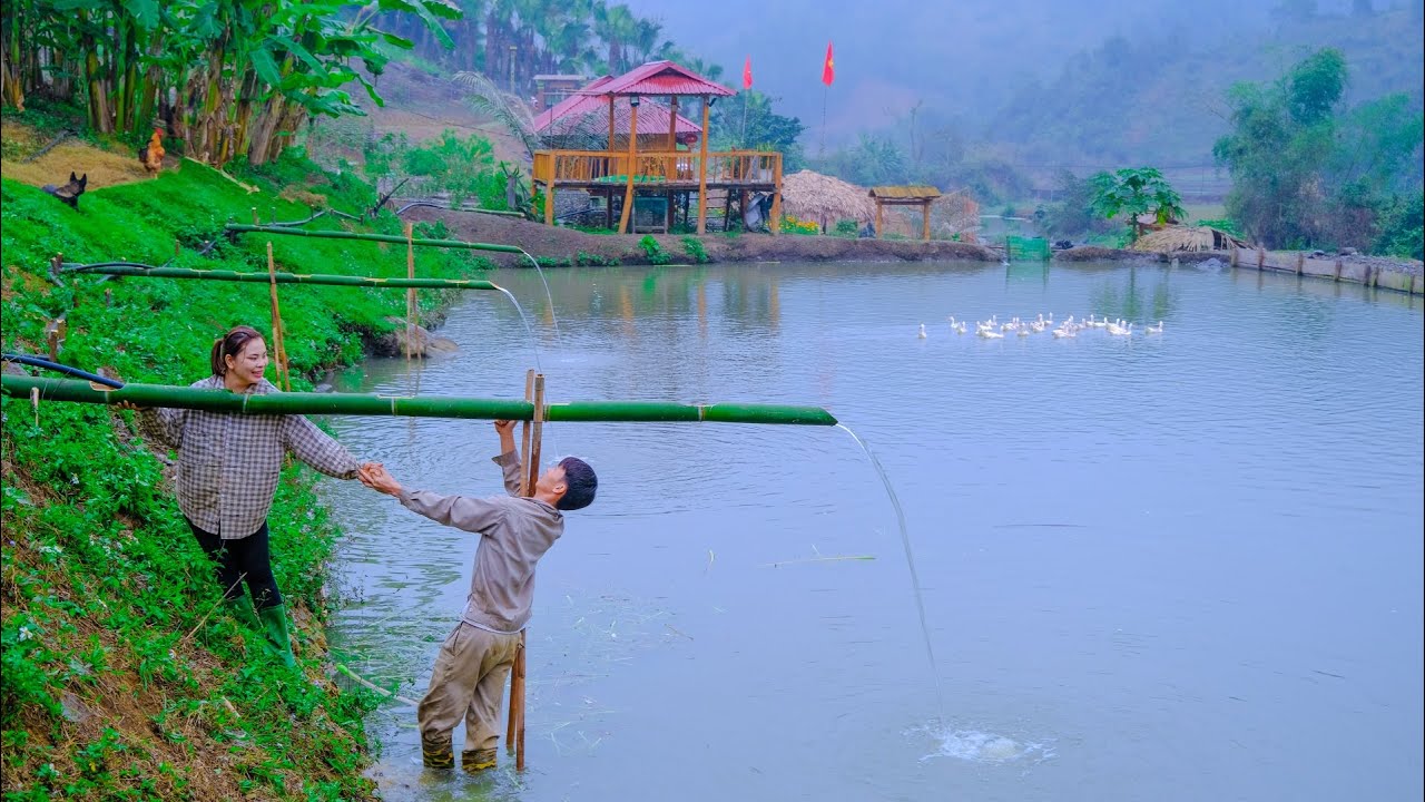 Sang Vy And Her Family Went Into The Deep Forest To Find Clean Water sang-vy-and-her-family-went-into-the-deep-forest-to-find-clean-water