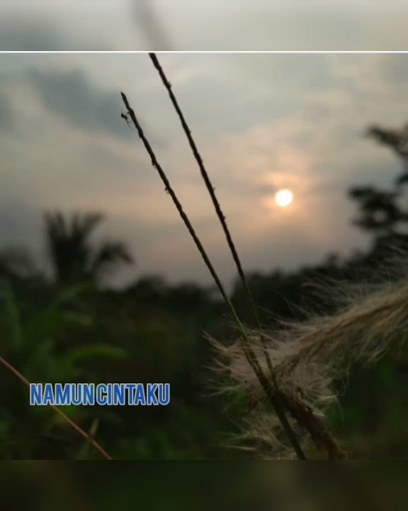 CINTAKU TAKKAN BERUBAH - ANNIE CARERA (COVER) STORY WHATSAPP
