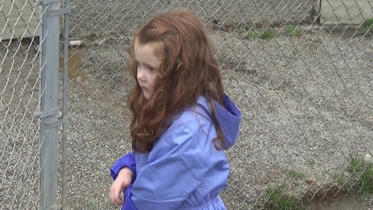 Cat Tales Zoological Park YouTube