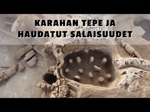 Video: Ko dara retikulospinālais trakts?