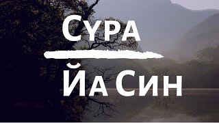 Сура Йа Син