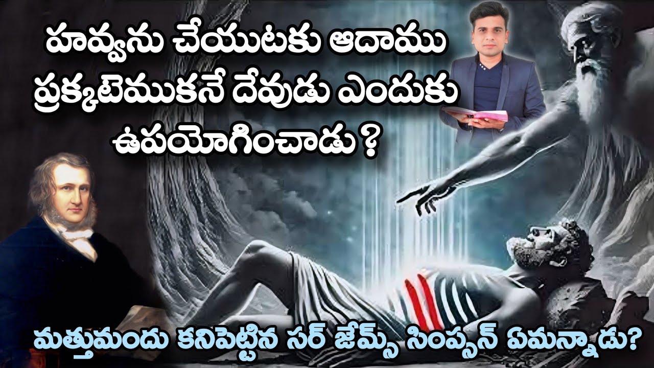 హవ్వను చేయుటకు ఆదాము ప్రక్కటెముకనే దేవుడు ఎందుకు ఉపయోగించాడు?