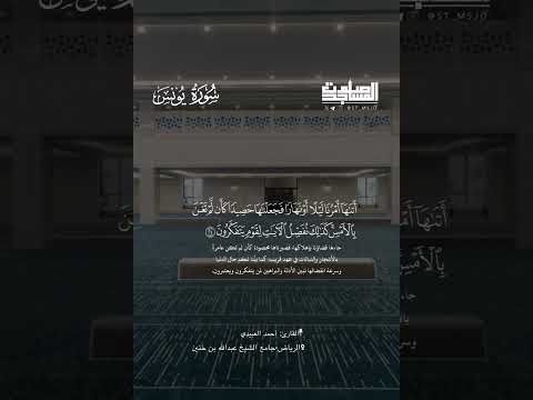 إ ن ما م ث ل الح ياة الد نيا ك ماء أ نز لناه م ن الس ماء ف اخت ل ط ب ه ن بات الأ رض