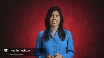 Establishing the Feedback Loop