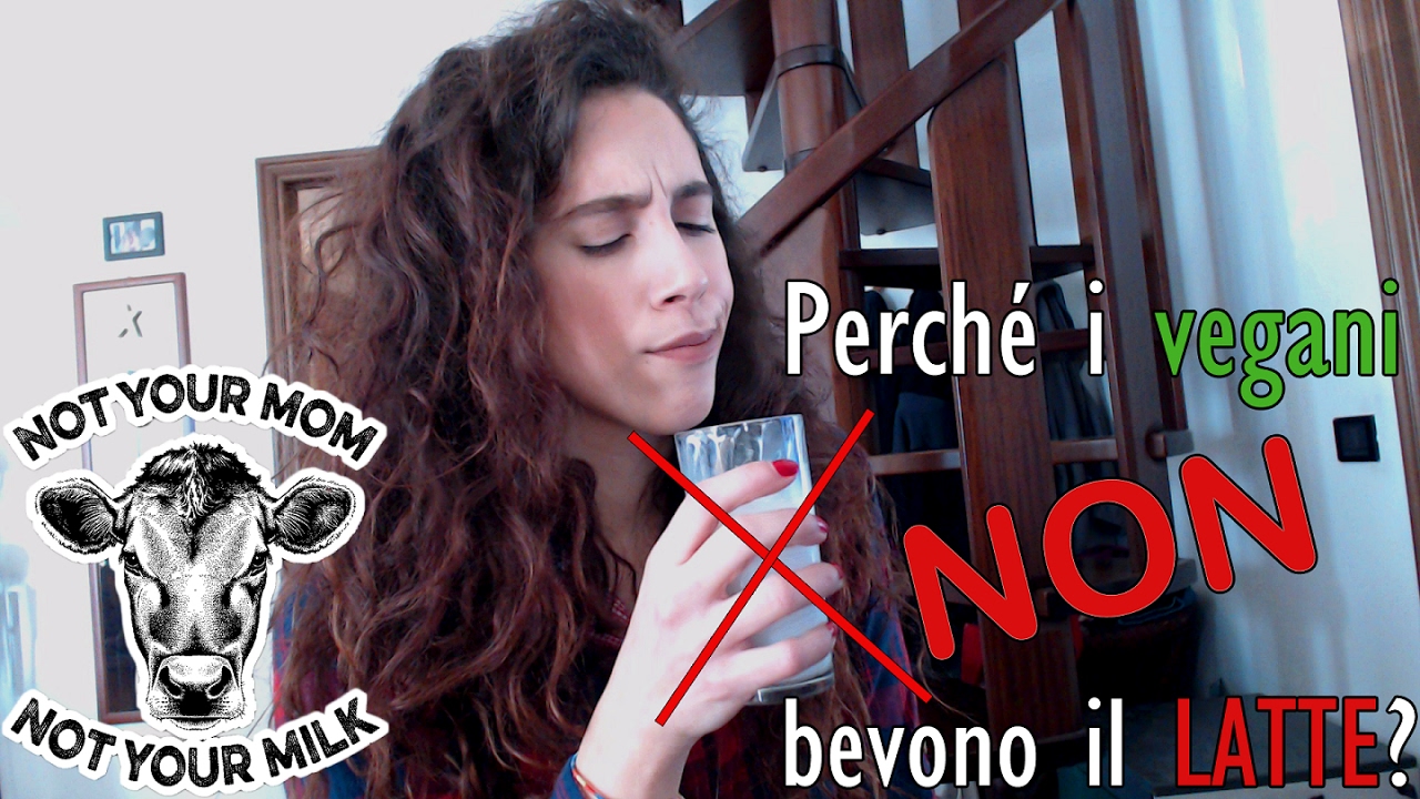 Perchè i vegani non bevono il latte?