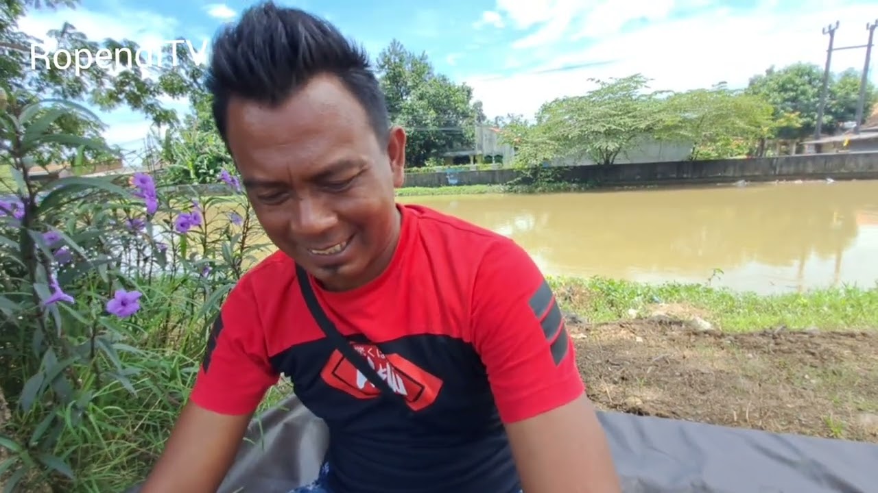 Baru ada lagi nih burung unik yang hampir punah cuma 350k aja